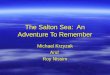 The Salton Sea: An Adventure To Remember Michael Krzyzak And Roy Nissim