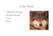Gray Wolf Historical Range Present Range Diet Pack