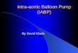 Intra-aortic Balloon Pump (IABP) Intra-aortic Balloon Pump (IABP) By David Kloda