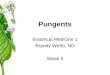Pungents Botanical Medicine 1 Brandy Webb, ND Week 5