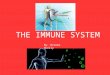 By: Brooke Skelly. WHAT IS THE IMMUNE SYSTEM? The immune system protects the body from disease and other damaging bodies. The immune system works hard