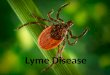 Lyme Disease. What is Lyme Disease? Also known as borreliosis Caused by Borrelia burgdorferi bacteria Bacteria live in the host which is a tick
