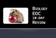 B IOLOGY EOC 10-DAY R EVIEW. BIOLOGICAL PROCESSES AND SYSTEMS TEKS B.10A, B.10B