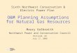 Sixth Northwest Conservation & Electric Power Plan O&M Planning Assumptions for Natural Gas Resources Maury Galbraith Northwest Power and Conservation