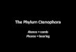 The Phylum Ctenophora Ktenos = comb Phoros = bearing