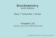 Chapter 12: Lipids and Cell Membranes Copyright © 2007 by W. H. Freeman and Company Berg Tymoczko Stryer Biochemistry Sixth Edition