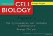 Chapter 5 The Cytoskeleton and Cellular Architecture George Plopper