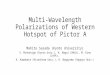 Multi-Wavelength Polarizations of Western Hotspot of Pictor A Mahito Sasada (Kyoto University) S. Mineshige (Kyoto Univ.), H. Nagai (NAOJ), M. Kino (JAXA),