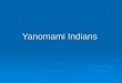 Yanomami Indians. 'Yanomami' means 'Human Being'  The Yanomami are an indigenous tribe (also called Yanamamo, Yanomam, and Sanuma) made up of four subdivisions