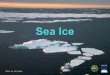 Photo by Ute Kaden.. What is sea ice? How is it formed? Why is it important? Who / What does sea ice impact? How do scientists study sea ice? What do