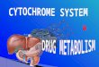 Revise the intent of drug metabolism and its different phases  Define the role of cytochrome system in relation to drug metabolism  Expand on the