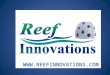 Larry Beggs President of Reef Innovations Board of Reef Ball Foundation NAUI Diver since 1988 over __ dives