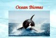 Ocean Biomes. Oceans Locations Oceans = 71% of earth’s surface