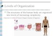 Levels of Organization The structures of the human body are organized into levels of increasing complexity. Chemical  Cellular  Tissue  Organ  System