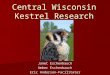 Central Wisconsin Kestrel Research Janet Eschenbauch Amber Eschenbauch Eric Anderson-Facilitator