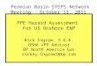 PPE Hazard Assessment For US Onshore E&P Rick Ingram, S.G.E. OSHA VPP Advisor BP North America Gas rickey.ingram1@bp.com Permian Basin STEPS Network Meeting