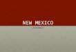 NEW MEXICO GOVERNMENT. Tell me about the capitol of NM here. NEW MEXICO STATE CAPITOL – SANTA FE, NM