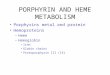 PORPHYRIN AND HEME METABOLISM Porphyrins metal and protein Hemoproteins –Heme –Hemoglobin Iron Globin chains Protoporphyrin III (IX)