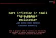 Warm inflation in small field models: a stringy realisation Juan Carlos Bueno Sánchez Lancaster University Work in progress with: M. Bastero-Gil (University