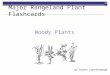 Woody Plants Major Rangeland Plant Flashcards By Karen Launchbaugh