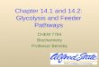 Chapter 14.1 and 14.2: Glycolysis and Feeder Pathways CHEM 7784 Biochemistry Professor Bensley