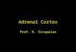 Adrenal Cortex Prof. K. Sivapalan. 08-01-14Adrenal Cortex.2 Structure of Steroid Hormones