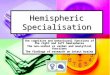 Hemispheric Specialisation The cognitive and behavioural functions of the right and left hemispheres The non-verbal vs verbal and analytical functions