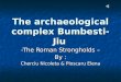 The archaeological complex Bumbesti-Jiu -The Roman Strongholds â€“ By : Cherciu Nicoleta & Ploscaru Elena