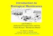 Introduction to Biological Membranes Dr. Steven J. Fliesler Professor, Dept. of Ophthalmology (ABI Rm 506 256-3252 Fliesler@slu.edu)Fliesler@slu.edu LECTURE
