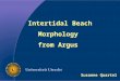 Intertidal Beach Morphology from Argus Susanne Quartel