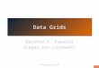 Data Grids Darshan R. Kapadia Gregor von Laszewski 