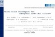 Multi-Scale Strategies for Embryonic Stem Cell Culture M.M. Diogo 1, T.G. Fernandes 1,2, A.M. Fernandes 1, C.A.V. Rodrigues 1, R.P. Baptista 1, C. Lobato