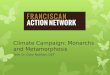 Climate Campaign: Monarchs and Metamorphosis With Dr. Gary Nabhan, OEF