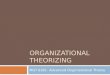 ORGANIZATIONAL THEORIZING MGT 6381- Advanced Organizational Theory