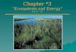 Chapter # 3 “Ecosystems and Energy” (Pg. 46 – 55)