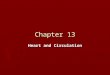 Chapter 13 Heart and Circulation. General features of the circulatory system The main propulsive organ is the ______ An_______ system distributes blood