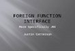 More Specifically JNI Justin Catterson.  ADA  C++  Java  Ruby  Python  Haskell  Perl  etc. What is a Foreign Function Interface? Simply an interface
