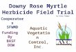 Downy Rose Myrtle Herbicide Field Trial by Elroy Timmer Cooperators SFWMD Aquatic Vegetation Control, Inc. Funding By BASF DOW