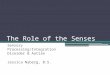 The Role of the Senses Sensory Processing/Integration Disorder & Autism Jessica Nyberg, B.S
