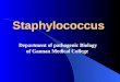 Staphylococcus Department of pathogenic Biology of Gannan Medical College