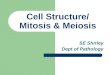 Cell Structure/ Mitosis & Meiosis SE Shirley Dept of Pathology