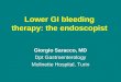 Lower GI bleeding therapy: the endoscopist Giorgio Saracco, MD Dpt Gastroenterology Molinette Hospital, Turin