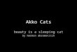 Akko Cats beauty is a sleeping cat by hermin abramovitch