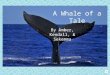 A Whale of a Tale By Amber, Kendall, & Sekemma TRIP TO THE MOON CRISPUS ATTUCKS LED A SAILING CREW IN THE BOSTON MASSACRE, BUT THEY WERE NOT BIG ENOUGH