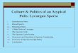 Culture & Politics of an Atypical Polis: Lycurgan Sparta I. Introductory Notes II. Rise of Sparta III. Messenian Wars IV. A Brief Note on Lycurgus V. The