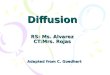 Diffusion RS: Ms. Alvarez CT:Mrs. Rojas Adapted from C. Goedhart