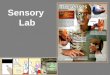 Sensory Lab. Nonhuman Senses Infrared imaging Electrosense Vomerolfaction Ultrasound detection Infrasound detection Magnetoreception Cutaneous chemosense