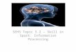 SEHS Topic 5.2 – Skill in Sport: Information Processing
