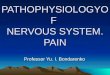 PATHOPHYSIOLOGY OF NERVOUS SYSTEM. PAIN Professor Yu. I. Bondarenko