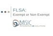 INTEGRATED HR SOLUTIONS FLSA: Exempt or Non Exempt